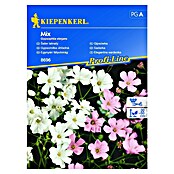 Kiepenkerl Profi-Line Cvetlična semena Elegantna sardenka  (Gypsophila elegans, Bela, Roza) | 8127 - Feinsämereien in PG Marke | IBYA - Sämereien | IBY - Sämereien | IB - Grünpflanzen/Sämereien | I - Stadtgarten | BAUHAUS