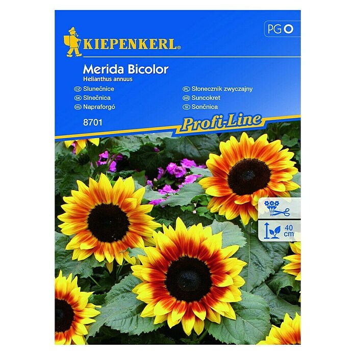 Kiepenkerl Profi-Line Sjeme cvijeća Suncokret Merida Bicolor  (Helianthus annuus, Žuta, Crvena) | BAUHAUS