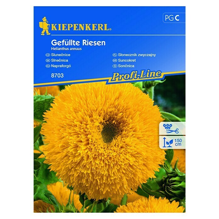 Kiepenkerl Profi-Line Cvetlična semena Sončnica Gefüllte Riesen  (Helianthus annuus, Rumena) | 8127 - Feinsämereien in PG Marke | IBYA - Sämereien | IBY - Sämereien | IB - Grünpflanzen/Sämereien | I - Stadtgarten | BAUHAUS