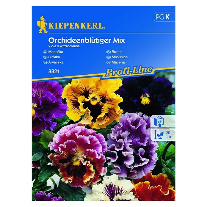 Kiepenkerl Profi-Line Sjeme cvijeća Maćuhica Mix  (Viola x wittrockiana, Raznobojna) | BAUHAUS