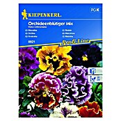 Kiepenkerl Profi-Line Sjeme cvijeća Maćuhica Mix  (Viola x wittrockiana, Raznobojna) | BAUHAUS