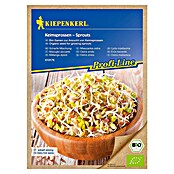 Kiepenkerl Profi-Line Sjeme za sjetvu mix  (Trigonella foenum-graecum, Raphanus sativus, Sinapis alba) | BAUHAUS