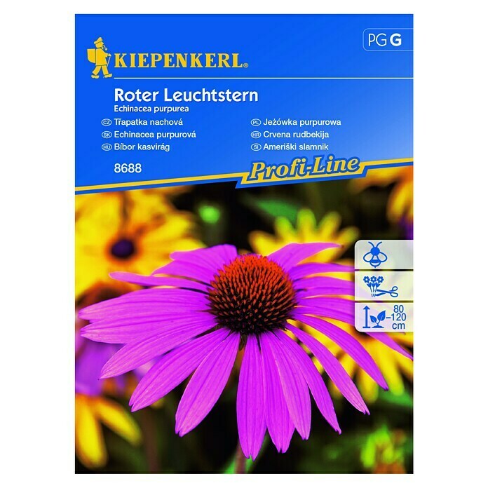 Kiepenkerl Profi-Line Sjeme cvijeća Crvena rudbekija  (Echinacea purpurea, Crvena) | BAUHAUS
