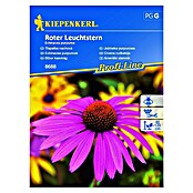 Kiepenkerl Profi-Line Sjeme cvijeća Crvena rudbekija  (Echinacea purpurea, Crvena) | BAUHAUS