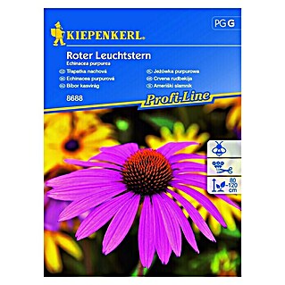 Kiepenkerl Profi-Line Cvetlična semena Ameriški slamnik (Echinacea purpurea, Roza)