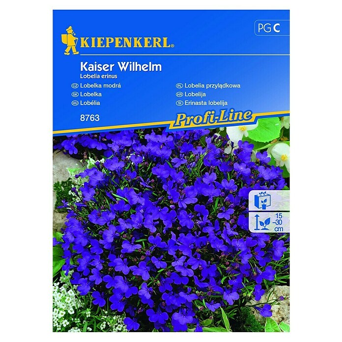 Kiepenkerl Profi-Line Cvetlična semena Erinasta lobelija  (Lobelia erinus, Vijolična) | 8127 - Feinsämereien in PG Marke | IBYA - Sämereien | IBY - Sämereien | IB - Grünpflanzen/Sämereien | I - Stadtgarten | BAUHAUS