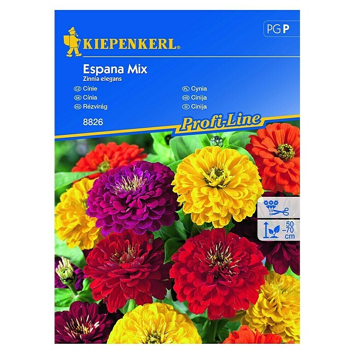 Kiepenkerl Profi-Line Cvetlična semena Cinija España  (Zinnia elegans, Različne barve) | 8127 - Feinsämereien in PG Marke | IBYA - Sämereien | IBY - Sämereien | IB - Grünpflanzen/Sämereien | I - Stadtgarten | BAUHAUS