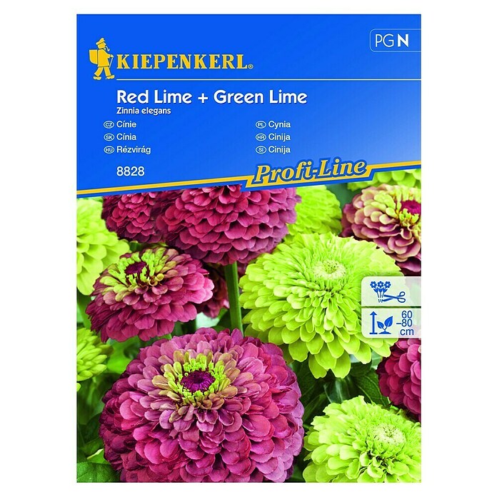Kiepenkerl Profi-Line Cvetlična semena Cinija Red & Green Lime  (Zinnia elegans, Rdeča, Zelena) | 8127 - Feinsämereien in PG Marke | IBYA - Sämereien | IBY - Sämereien | IB - Grünpflanzen/Sämereien | I - Stadtgarten | BAUHAUS