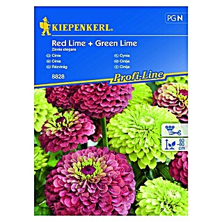 Kiepenkerl Profi-Line Sjeme cvijeća Cinija Red & Green Lime (Zinnia elegans, Crvena, Zelena)