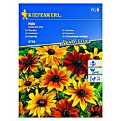 Kiepenkerl Profi-Line Sjeme cvijeća Pupavica Mix  (Rudbeckia hirta, Žuta, Crvena) | BAUHAUS