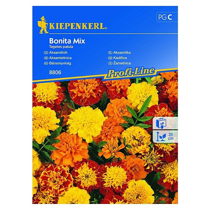 Kiepenkerl Profi-Line Cvetlična semena Žametnica Bonita Mix  (Tegetes patula, Različne barve) | 8127 - Feinsämereien in PG Marke | IBYA - Sämereien | IBY - Sämereien | IB - Grünpflanzen/Sämereien | I - Stadtgarten | BAUHAUS