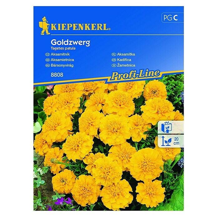 Kiepenkerl Profi-Line Cvetlična semena žametnice Goldzwerg  (Tegetes patula, Rumena) | 8127 - Feinsämereien in PG Marke | IBYA - Sämereien | IBY - Sämereien | IB - Grünpflanzen/Sämereien | I - Stadtgarten | BAUHAUS