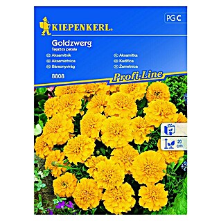 Kiepenkerl Profi-Line Cvetlična semena žametnice Goldzwerg (Tegetes patula, Rumena)
