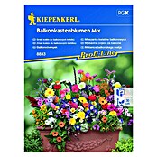 Kiepenkerl Profi-Line Mješavina sjemena cvijeća za balkone  (Raznobojna, 2 m²) | BAUHAUS