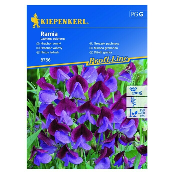 Kiepenkerl Profi-Line Sjeme cvijeća Mirisna grahorica  (Lathyrus odoratus, Plava, Crvena) | BAUHAUS