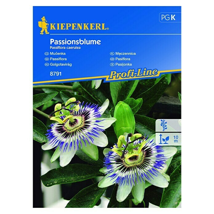 Kiepenkerl Cvetlična semena Pasijonka  (Passiflora caerulea, Bela, Modra, Roza) | 8127 - Feinsämereien in PG Marke | IBYA - Sämereien | IBY - Sämereien | IB - Grünpflanzen/Sämereien | I - Stadtgarten | BAUHAUS