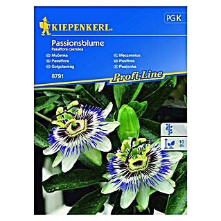 Kiepenkerl Cvetlična semena Pasijonka (Passiflora caerulea, Bela, Modra, Roza)
