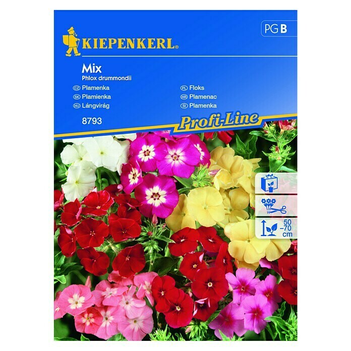 Kiepenkerl Sjeme cvijeća Plamenac Mix  (Phlox drummondii, Raznobojna) | BAUHAUS