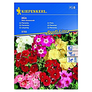 Kiepenkerl Cvetlična semena Plamenka Mix (Phlox drummondii, Različne barve)