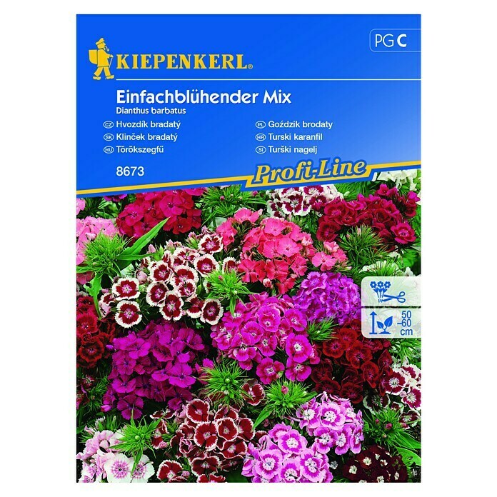 Kiepenkerl Sjeme cvijeća Turski karanfil Mix  (Dianthus barbatus) | BAUHAUS