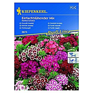 Kiepenkerl Cvetlična semena turških nageljnov (Dianthus barbatus)