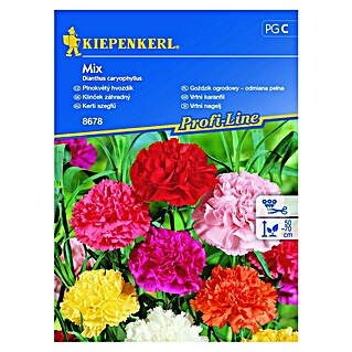 Kiepenkerl Sjeme cvijeća Vrtni karanfil (Dianthus caryophyllus)