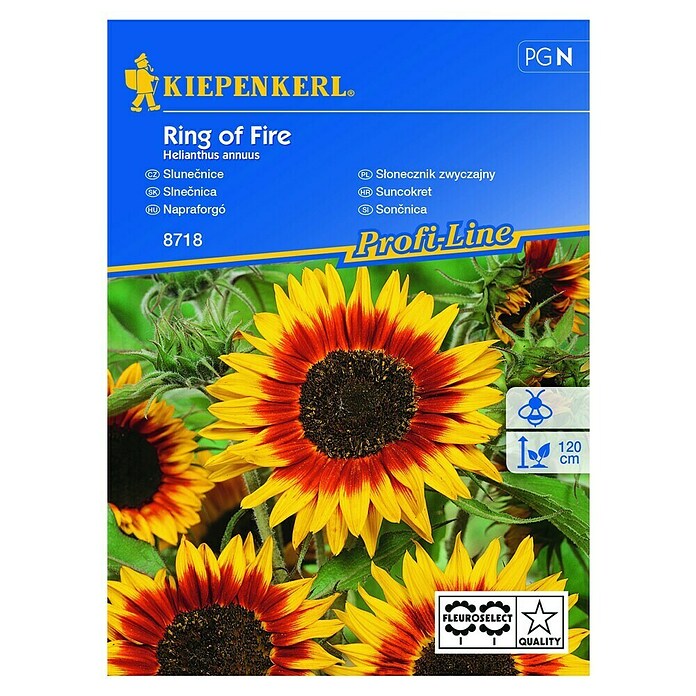 Kiepenkerl Sjeme cvijeća Suncokret Ring of Fire  (Helianthus annuus, Žuta, Crvena) | BAUHAUS