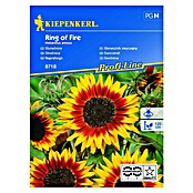 Kiepenkerl Sjeme cvijeća Suncokret Ring of Fire  (Helianthus annuus, Žuta, Crvena) | BAUHAUS