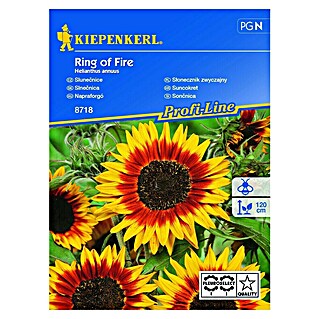 Kiepenkerl Cvetlična semena Sončnica Ring of Fire (Helianthus annuus)