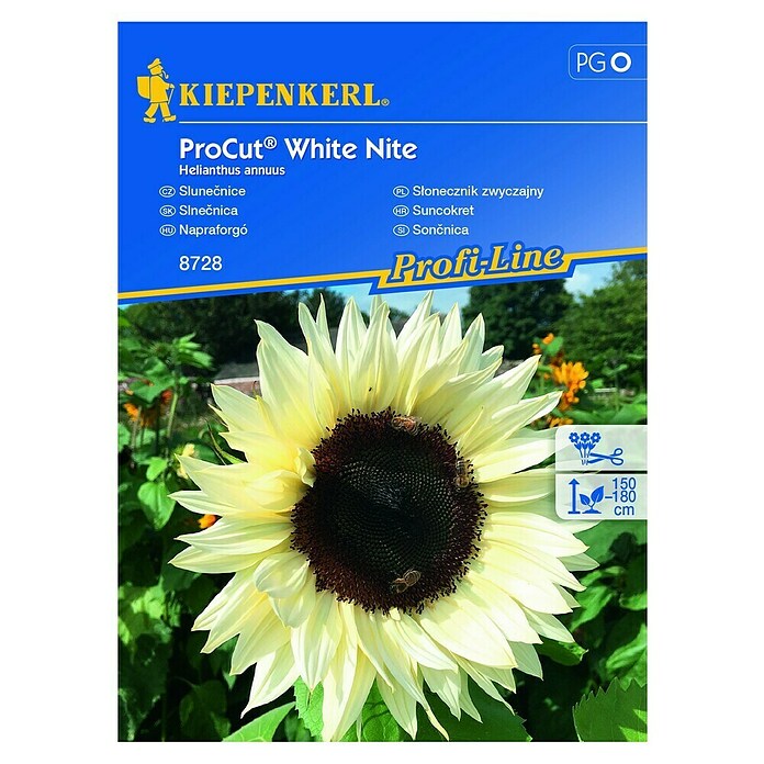 Kiepenkerl Profi-Line Cvetlična semena Sončnica ProCut White Nite  (Helianthus annuus, Rumena) | 8127 - Feinsämereien in PG Marke | IBYA - Sämereien | IBY - Sämereien | IB - Grünpflanzen/Sämereien | I - Stadtgarten | BAUHAUS