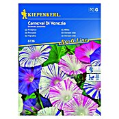 Kiepenkerl Sjeme cvijeća Ukrasni slak Carneval di Venezia  (Ipomoea purpurea, Raznobojno) | BAUHAUS