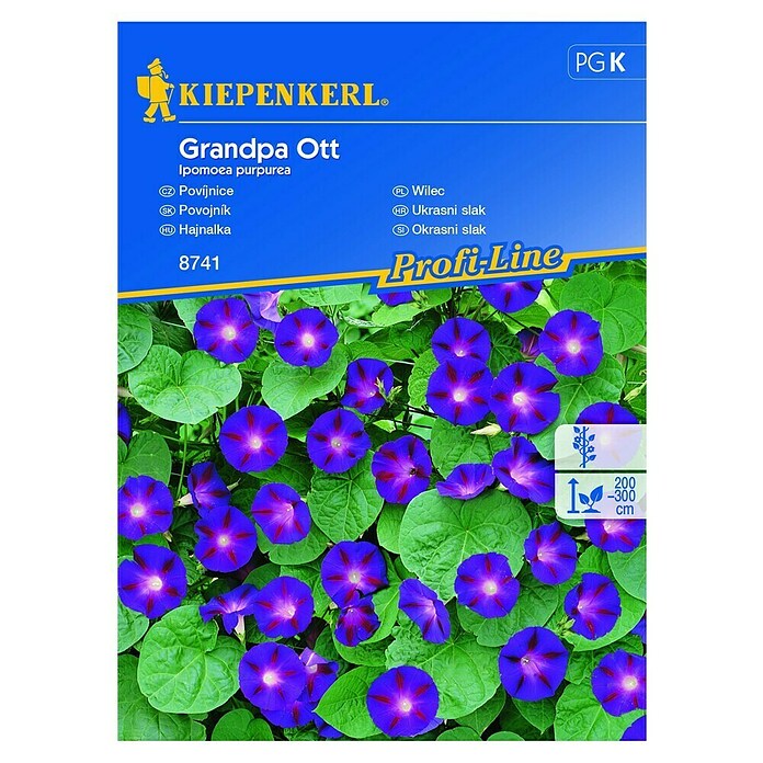 Kiepenkerl Sjeme cvijeća Ukrasni slak Grandpa Ott  (Ipomoea purpurea, Ljubičasta, Bijela) | BAUHAUS