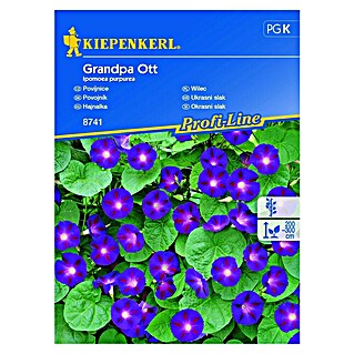 Kiepenkerl Cvetlična semena Slak Grandpa Ott (Ipomoea purpurea, Vijolična, bela)