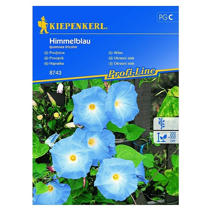 Kiepenkerl Sjeme cvijeća Ukrasni slak Himmelblau  (Ipomoea tricolor, Plava, Bijela) | BAUHAUS