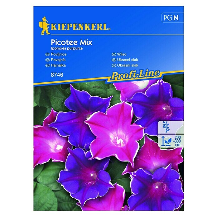 Kiepenkerl Cvetlična semena škrlatnega lepega slaka Picotee Mix  (Ipomoea purpurea) | 8127 - Feinsämereien in PG Marke | IBYA - Sämereien | IBY - Sämereien | IB - Grünpflanzen/Sämereien | I - Stadtgarten | BAUHAUS