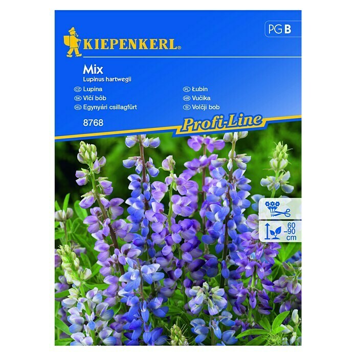 Kiepenkerl Sjeme cvijeća Vučika Mix  (Lupinus hartwegii, Ljubičasta) | BAUHAUS