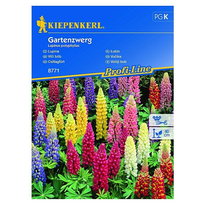 Kiepenkerl Cvetlična semena Volčji bob Gartenzwerg  (Lupinus polyphyllus) | 8127 - Feinsämereien in PG Marke | IBYA - Sämereien | IBY - Sämereien | IB - Grünpflanzen/Sämereien | I - Stadtgarten | BAUHAUS