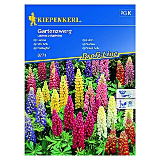 Kiepenkerl Cvetlična semena Volčji bob Gartenzwerg (Lupinus polyphyllus)