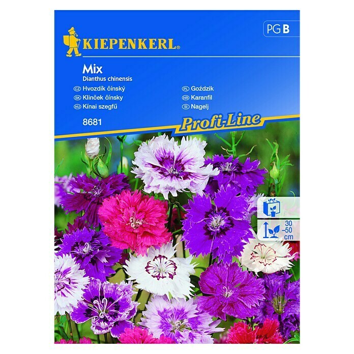 Kiepenkerl Sjeme cvijeća Karanfil Mix  (Dianthus chinesis, Raznobojno) | BAUHAUS