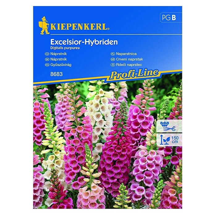 Kiepenkerl Cvetlična semena rdečega naprstca Excelsior-Hybrid  (Digitalis purpurea) | 8127 - Feinsämereien in PG Marke | IBYA - Sämereien | IBY - Sämereien | IB - Grünpflanzen/Sämereien | I - Stadtgarten | BAUHAUS