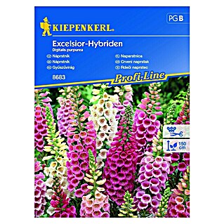 Kiepenkerl Sjeme cvijeća Crveni naprstak Excelsior-Hybriden (Digitalis purpurea, Crvena, Bijela, Ružičasta)