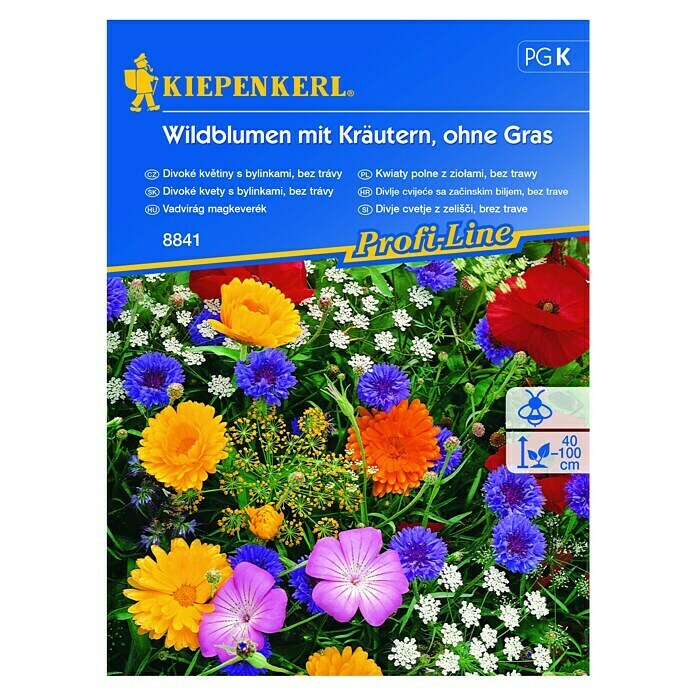 Kiepenkerl Sjeme divljeg cvijeća  (2 m² - 3 m²) | BAUHAUS