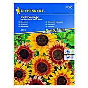 Kiepenkerl Sjeme cvijeća Suncokret Kleinblumige  (Helianthus debilis subsp. debilis, Žuta, Crvena) | BAUHAUS