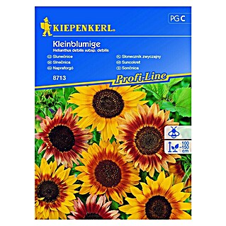 Kiepenkerl Cvetlična semena sončnic Kleinblumige (Helianthus debilis subsp. debilis, Rumena, rdeča)