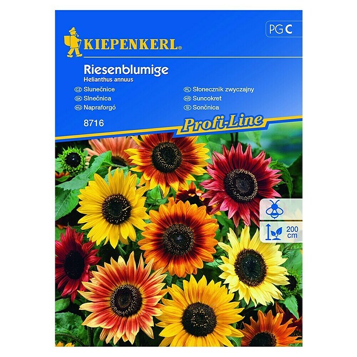 Kiepenkerl Cvetlična semena sončnic Riesenblumige  (Helianthus annuus, Večbarvna) | 8127 - Feinsämereien in PG Marke | IBYA - Sämereien | IBY - Sämereien | IB - Grünpflanzen/Sämereien | I - Stadtgarten | BAUHAUS