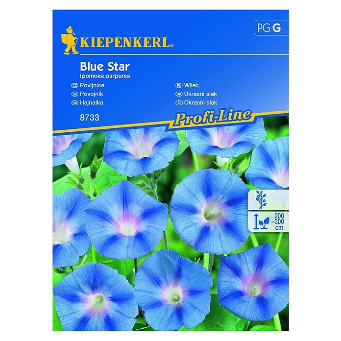 Kiepenkerl Cvetlična semena slaka Blue Star  (Ipomoea purpurea) | 8127 - Feinsämereien in PG Marke | IBYA - Sämereien | IBY - Sämereien | IB - Grünpflanzen/Sämereien | I - Stadtgarten | BAUHAUS