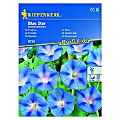 Kiepenkerl Cvetlična semena slaka Blue Star  (Ipomoea purpurea) | 8127 - Feinsämereien in PG Marke | IBYA - Sämereien | IBY - Sämereien | IB - Grünpflanzen/Sämereien | I - Stadtgarten | BAUHAUS