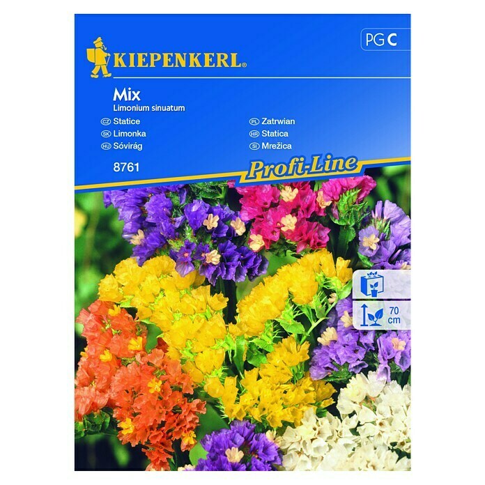 Kiepenkerl Sjeme cvijeća Statica Mix  (Limonium sinuatum, Raznobojno) | BAUHAUS