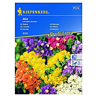 Kiepenkerl Cvetlična semena static Mix (Limonium sinuatum, Večbarvna)