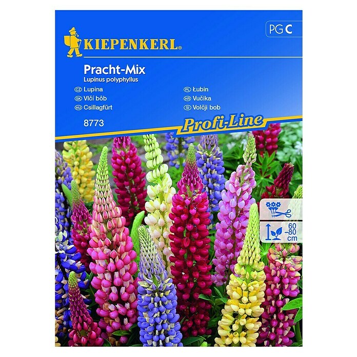 Kiepenkerl Cvetlična semena volčjega boba Pracht Mix  (Lupinus polyphyllus, Večbarvna) | 8127 - Feinsämereien in PG Marke | IBYA - Sämereien | IBY - Sämereien | IB - Grünpflanzen/Sämereien | I - Stadtgarten | BAUHAUS